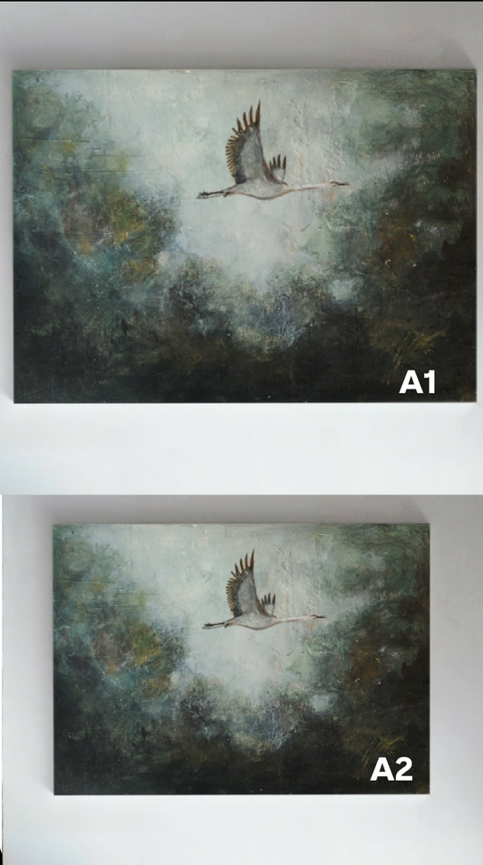 Skybound | Fine Art Print*