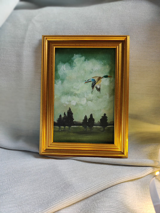 Wings of reflection (flying duck) | Framed Print*
