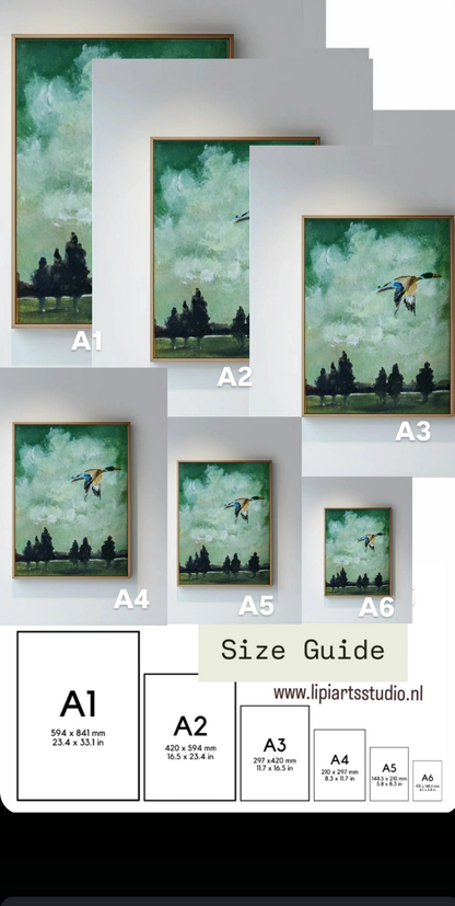 Wings of reflection (flying duck) | Fine Art Print*