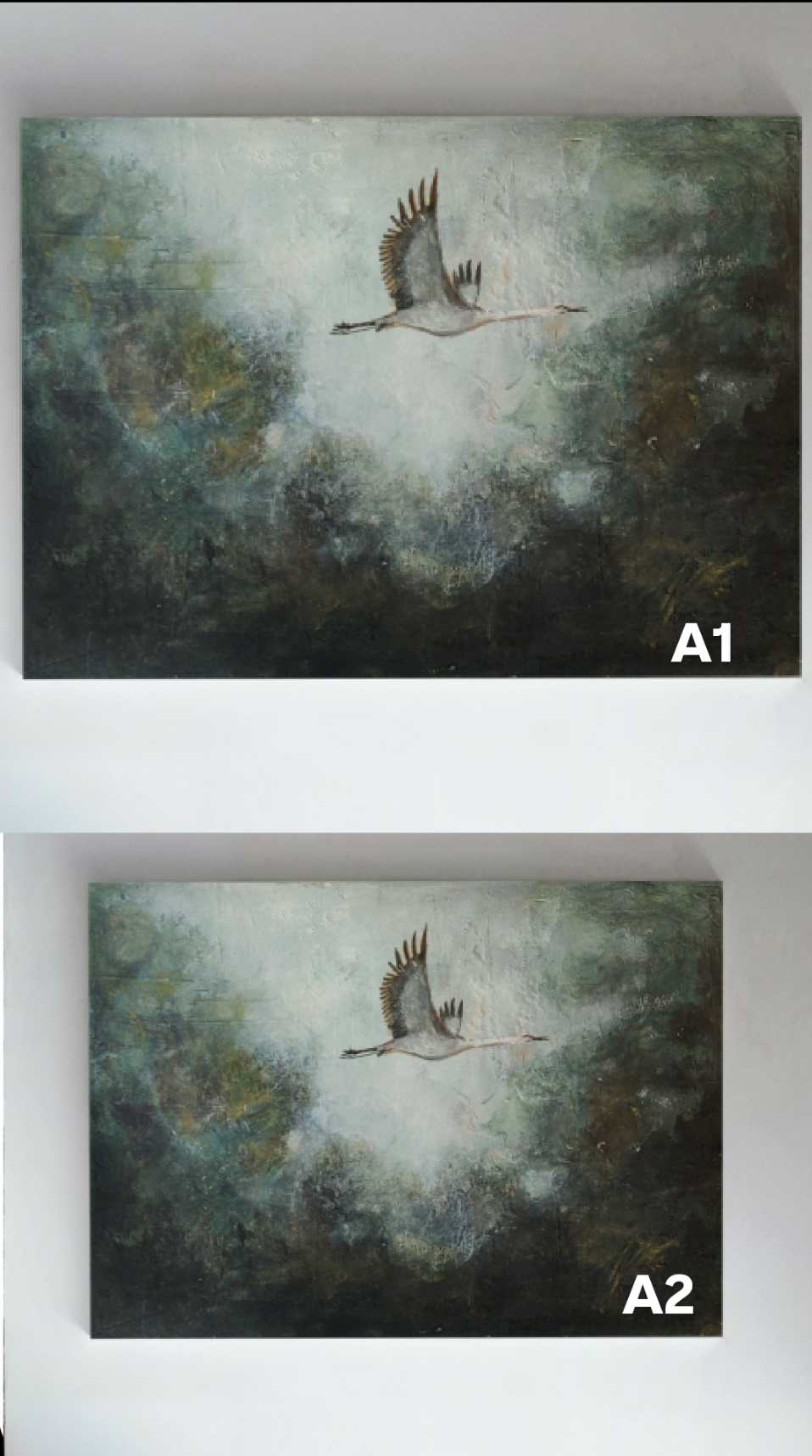 Skybound | Fine Art Print*