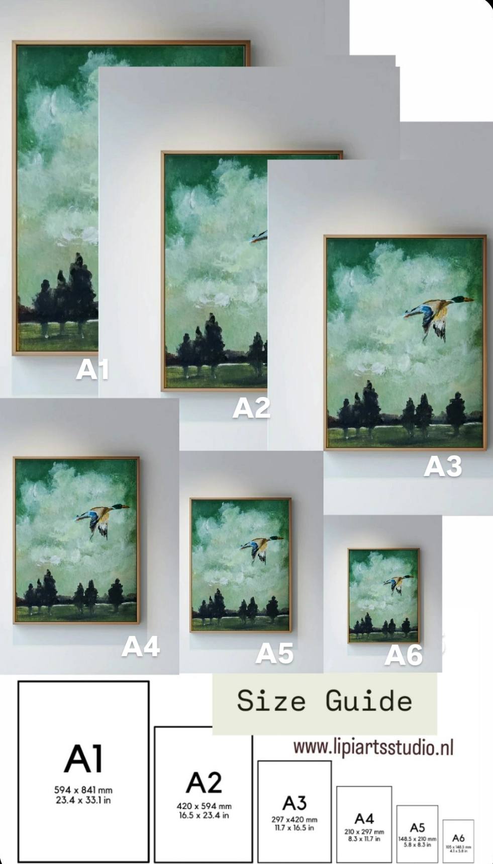 Wings of reflection (flying duck) | Fine Art Print*