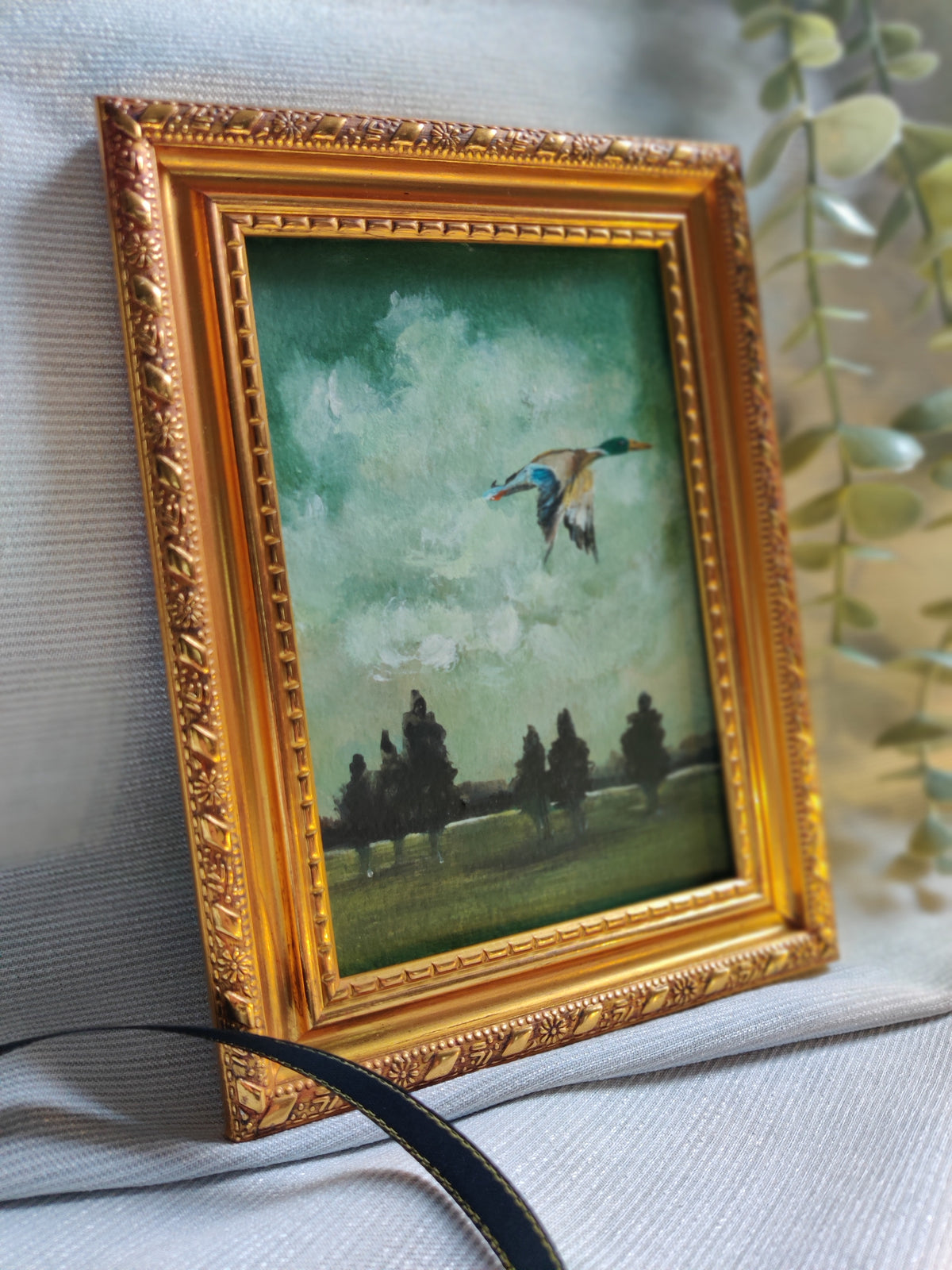Wings of reflection - flying duck