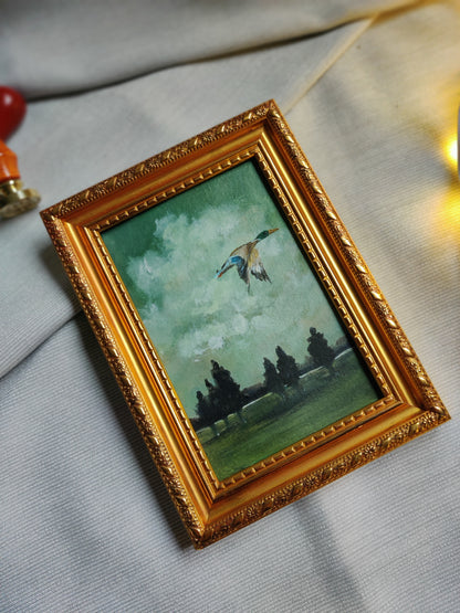 Wings of reflection - flying duck