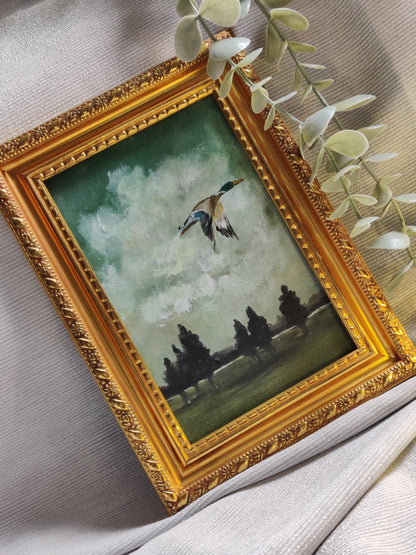 Wings of reflection - flying duck