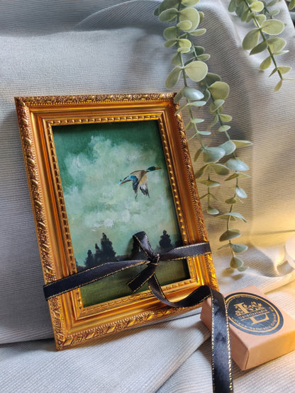 Wings of reflection - flying duck