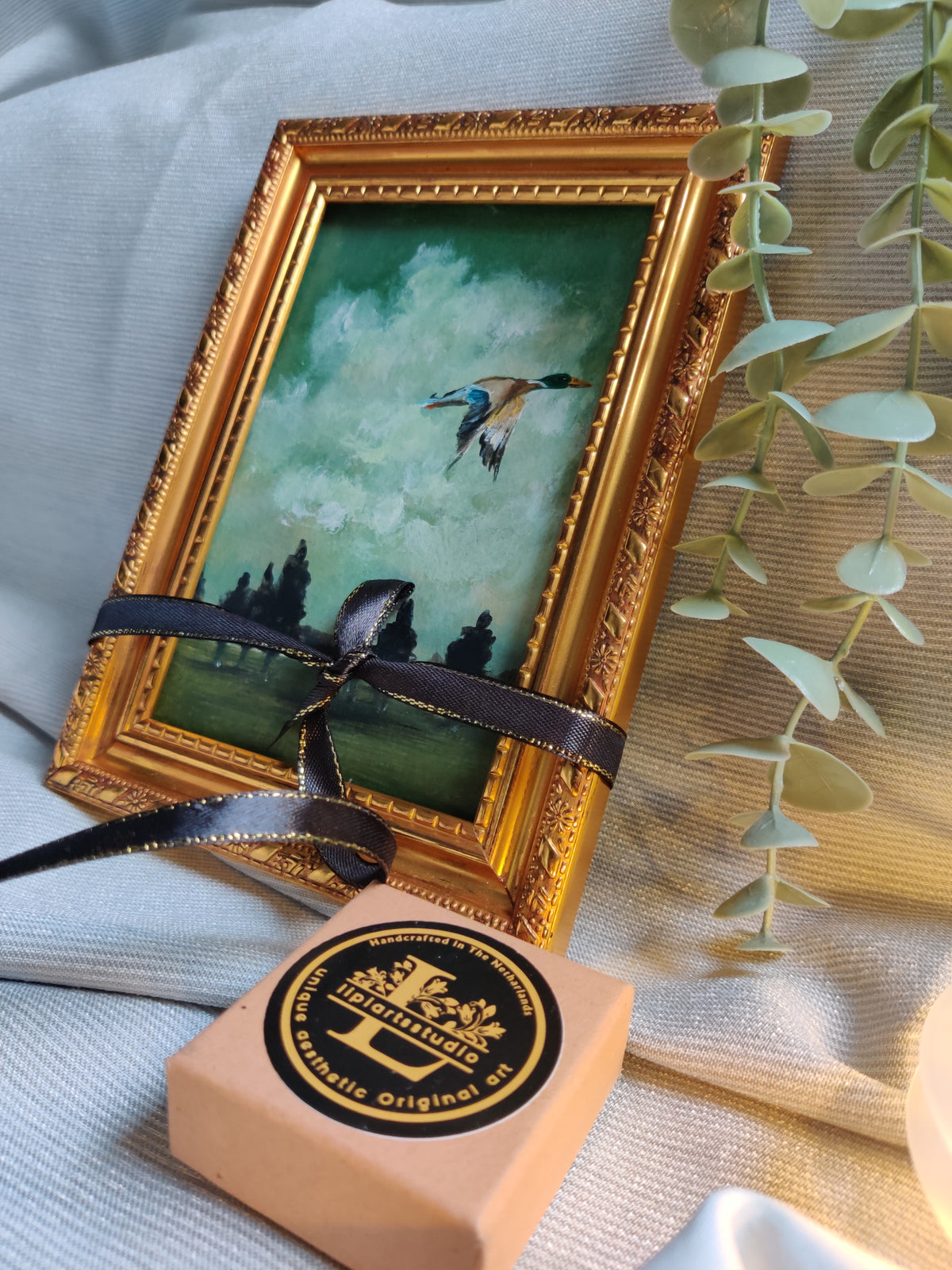 Wings of reflection - flying duck