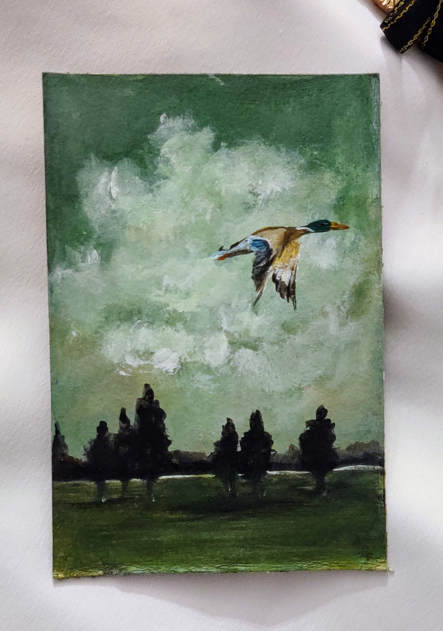 Wings of reflection (flying duck) | Fine Art Print*