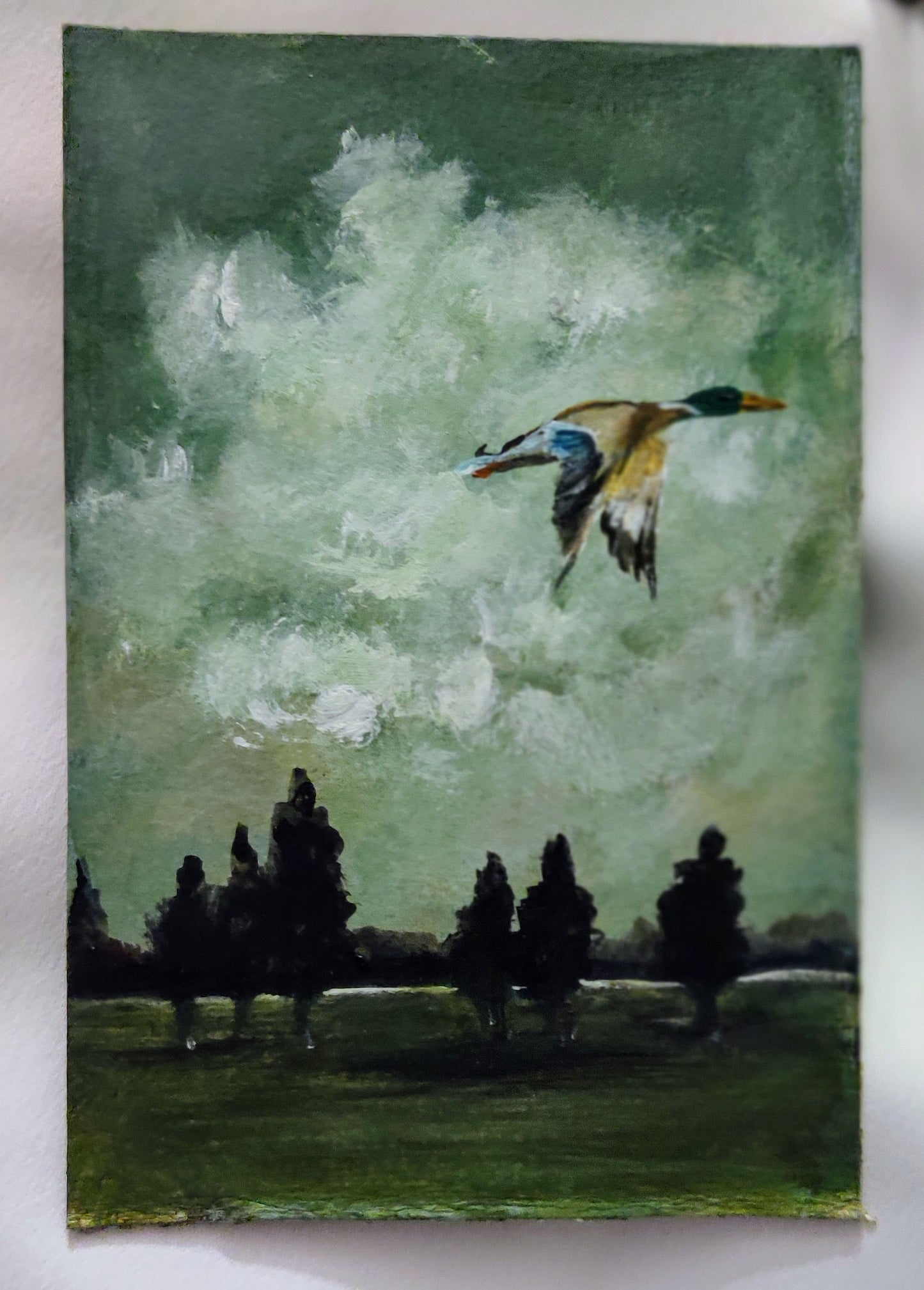 Wings of reflection (flying duck) | Framed Print*
