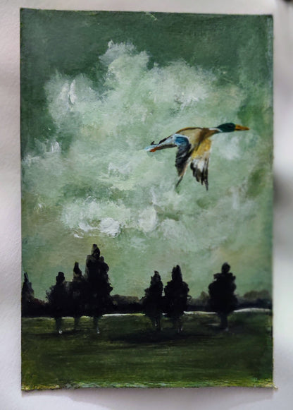 Wings of reflection (flying duck) | Framed Print*