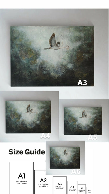 Skybound | Fine Art Print*